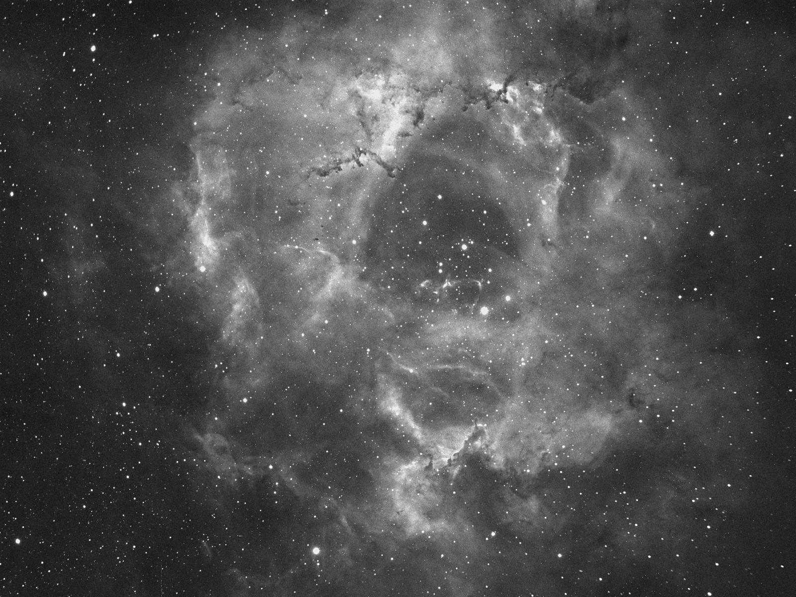 Nebulosa Rosetta - foto di Corrado Di Noto