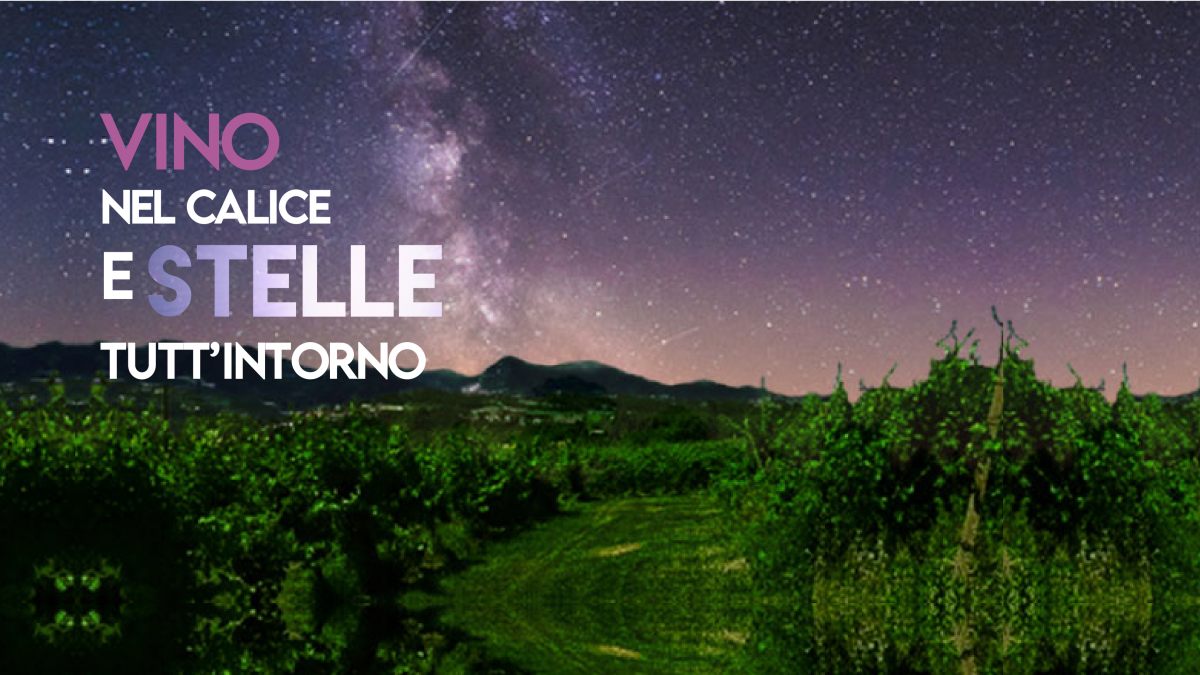 Degustazione di Verdicchio e tipicità marchigiane sotto il cielo stellato immersi nelle bellissime vigne della nostra regione.